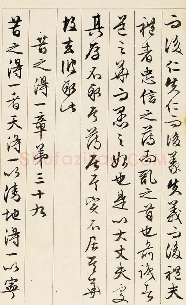 文徵明89岁行书《道德经》册页 | 毛笔书法作品