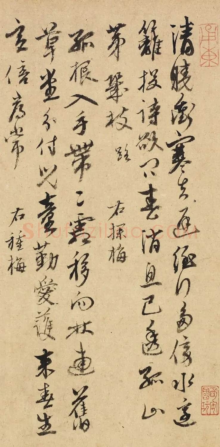 明代金湜行草书《梅花诗十首》 | 书法名家作品鉴赏