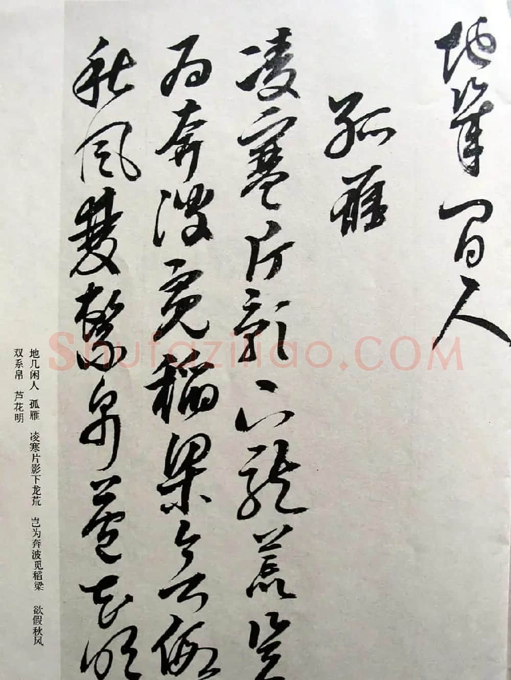 明代女书画家邢慈静草书欣赏 | 名家书法作品赏析