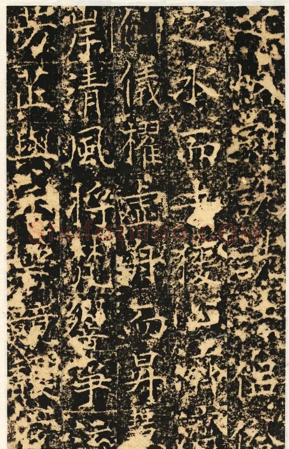 唐代楷书石刻《信法寺弥陀像碑》 | 书法碑帖