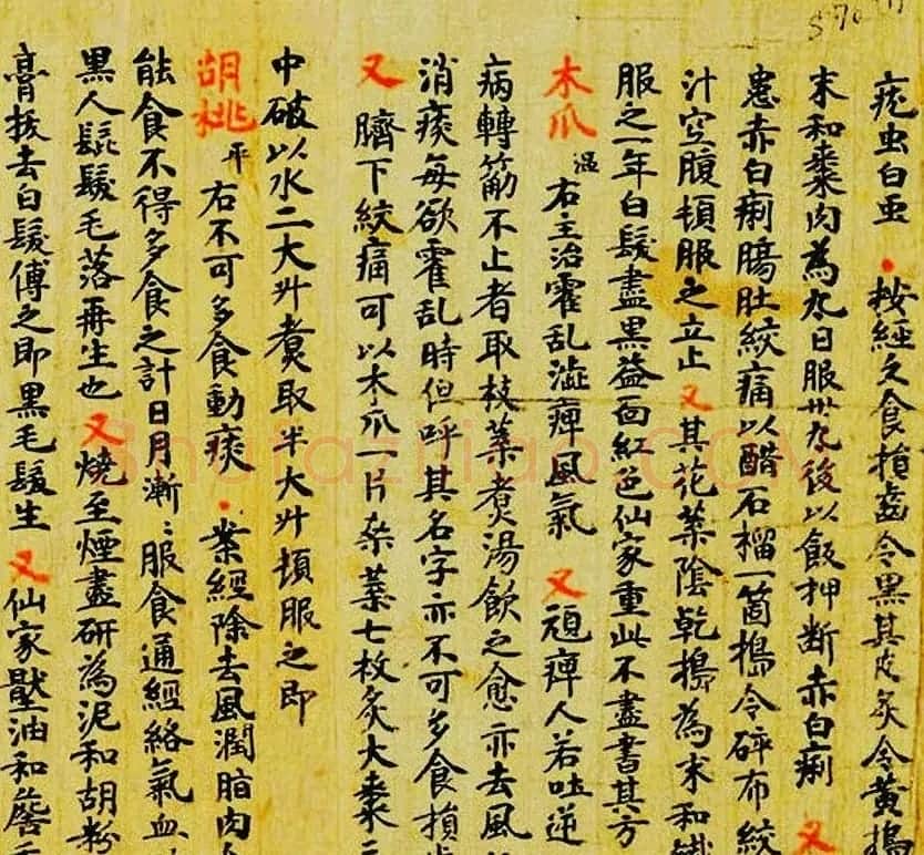 敦煌遗书墨迹--食疗药书残卷 | 敦煌写经赏析