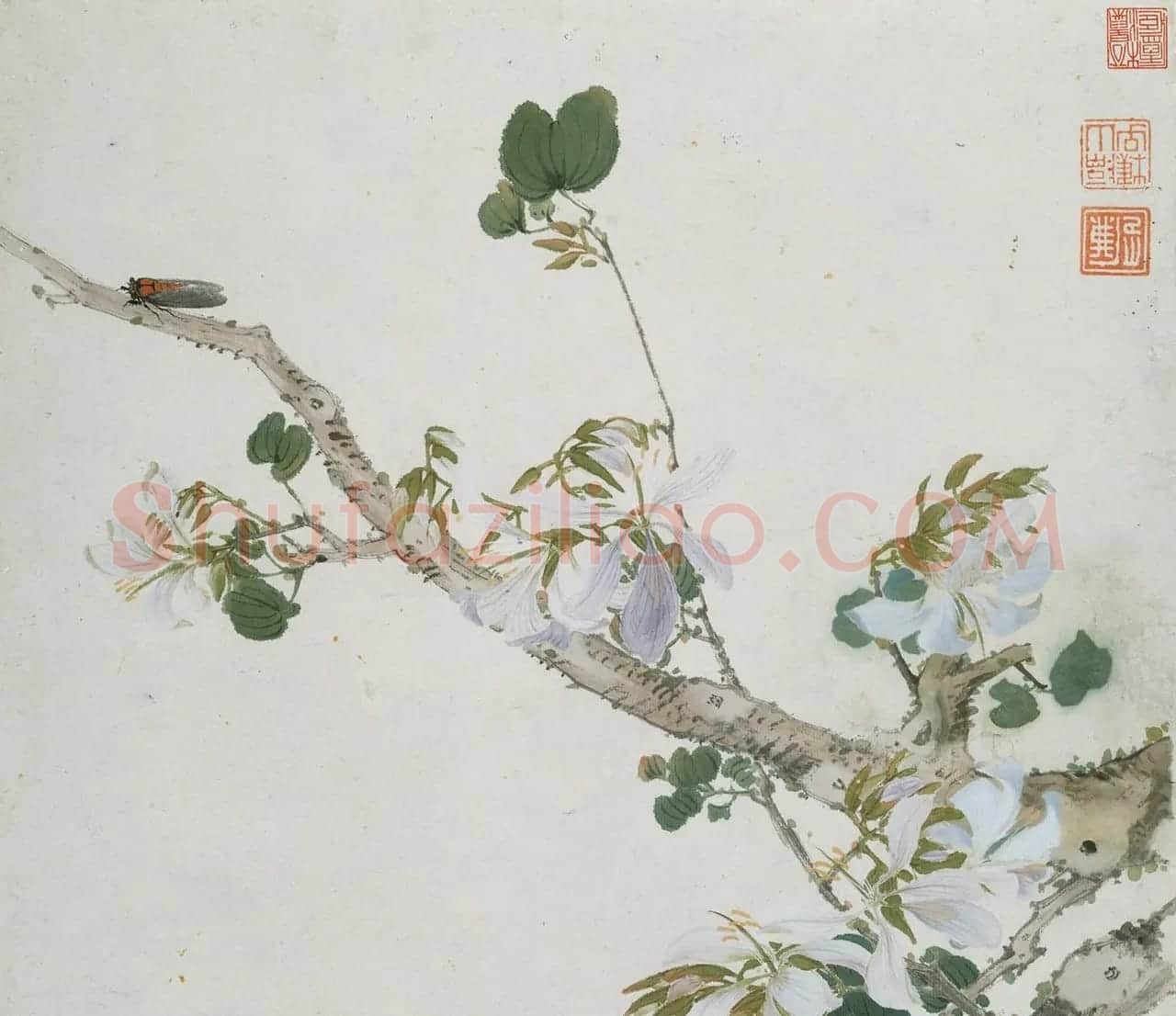 清代居廉花卉虫草册页八开 | 传世书法作品欣赏