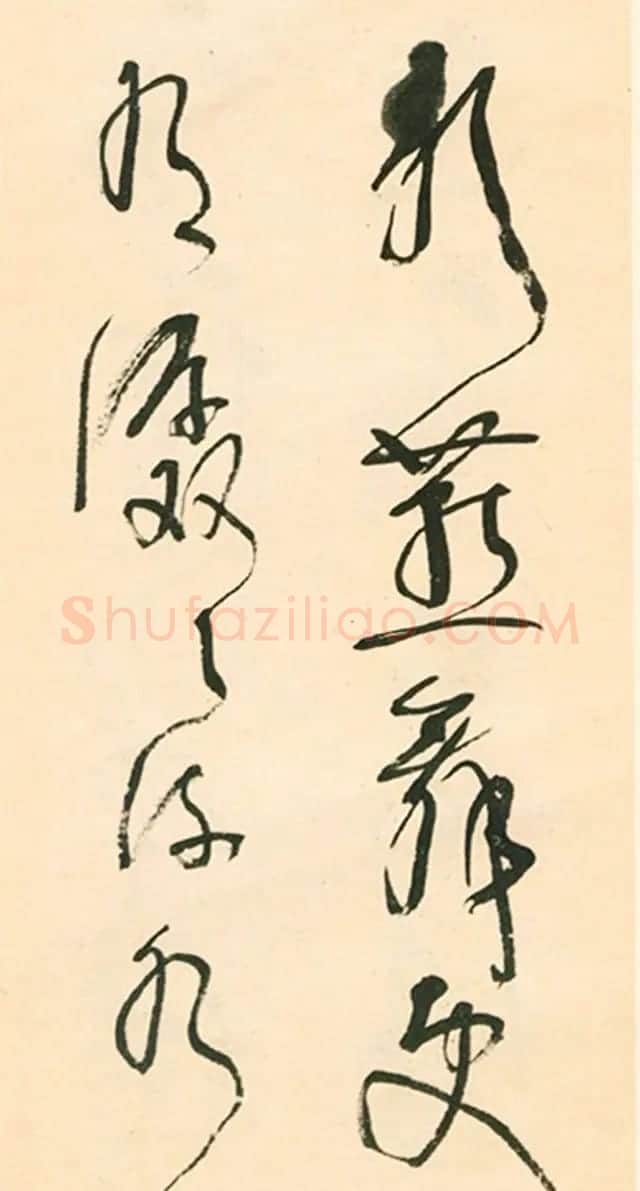 江上老人林散之草书欣赏《毛主席词二首》 | 软笔书法作品
