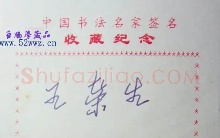 王荣生钢笔书法签名欣赏 | 名家书法作品赏析