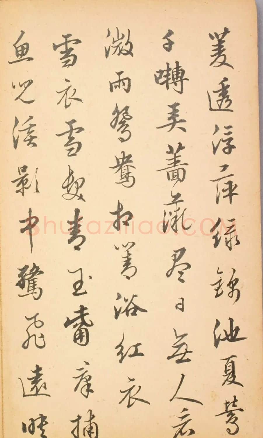 清代毛辉祖等11人书法册页 | 书法作品鉴赏
