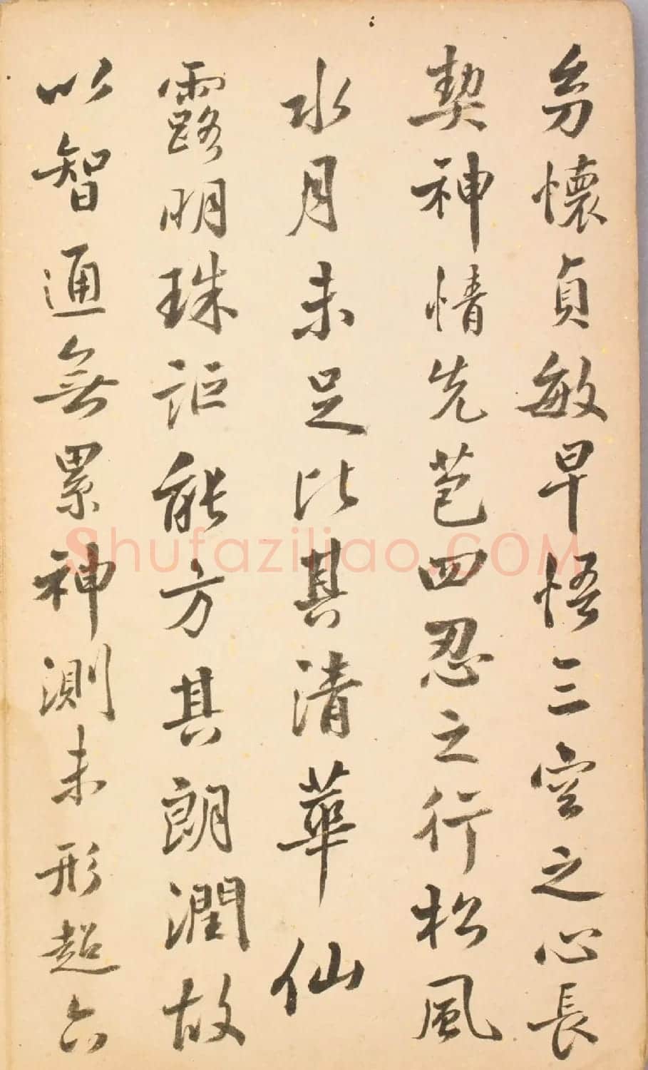 清代毛辉祖等11人书法册页 | 书法作品鉴赏