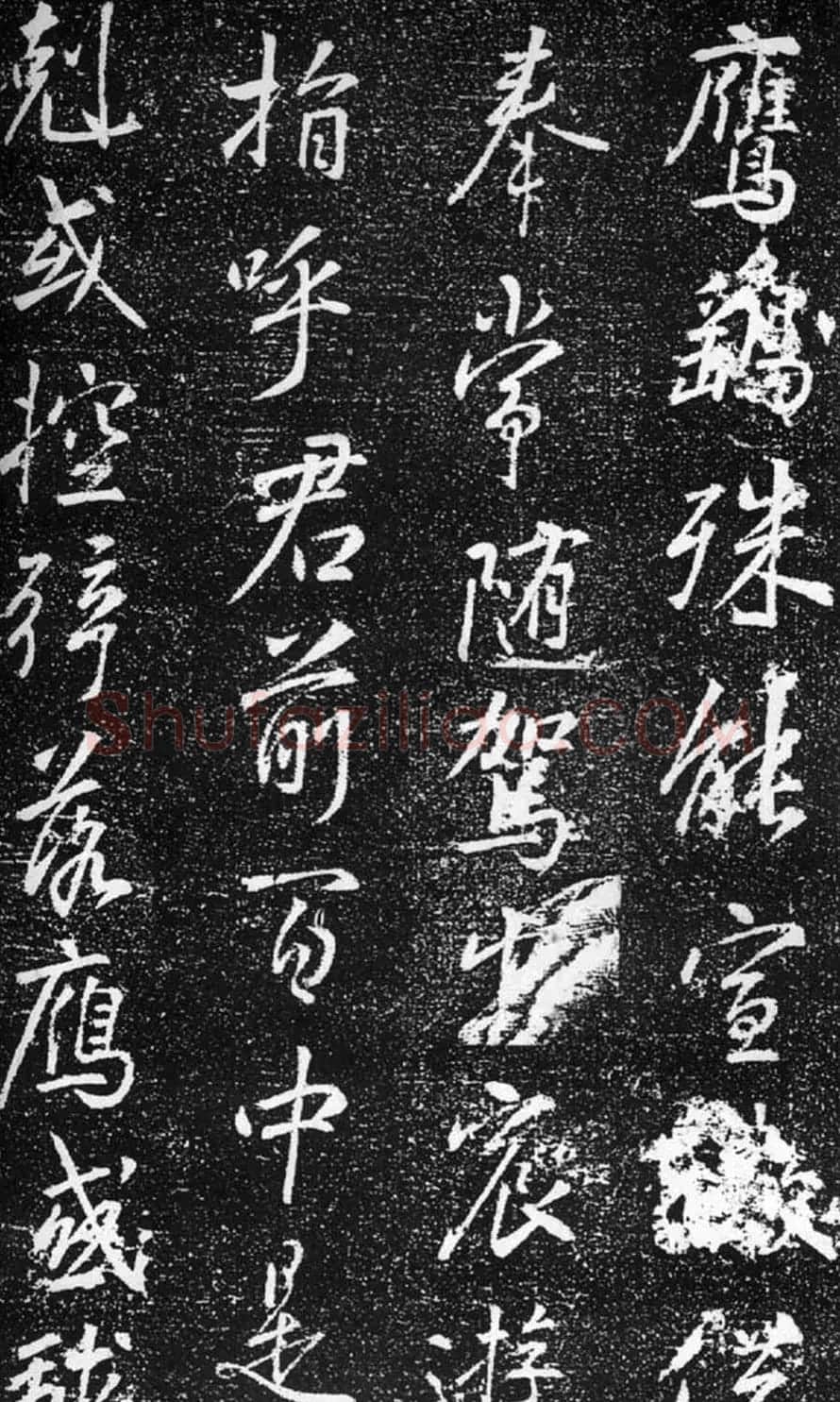 张模行书《梁公神道碑》 | 书法碑帖