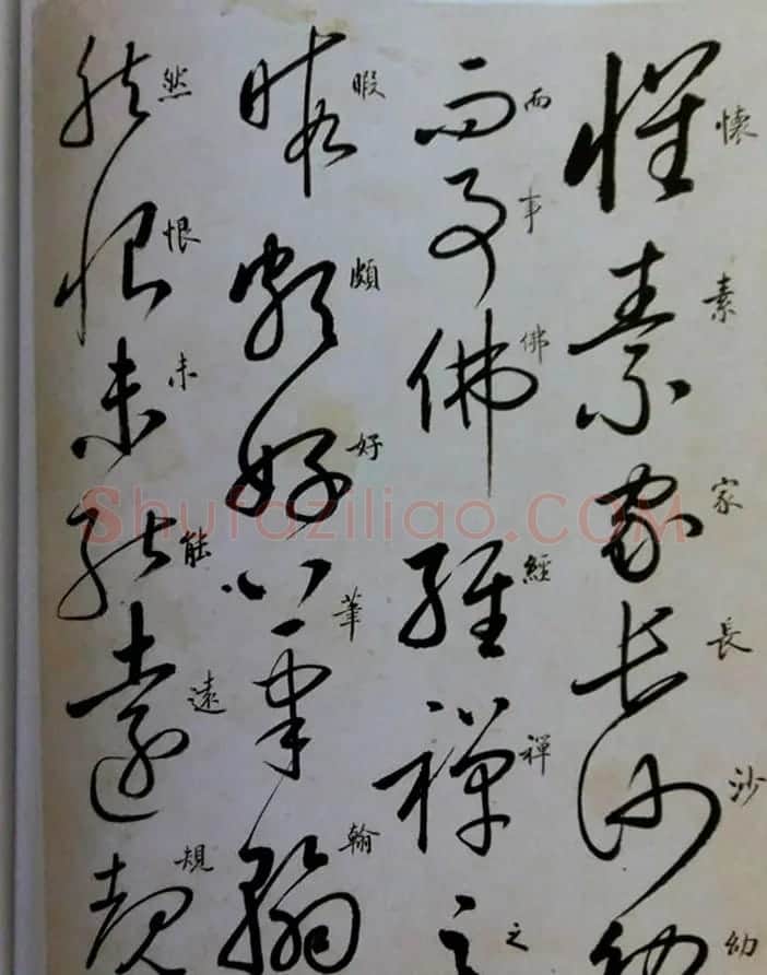 启功草书临唐怀素自叙帖 | 软笔草书字帖