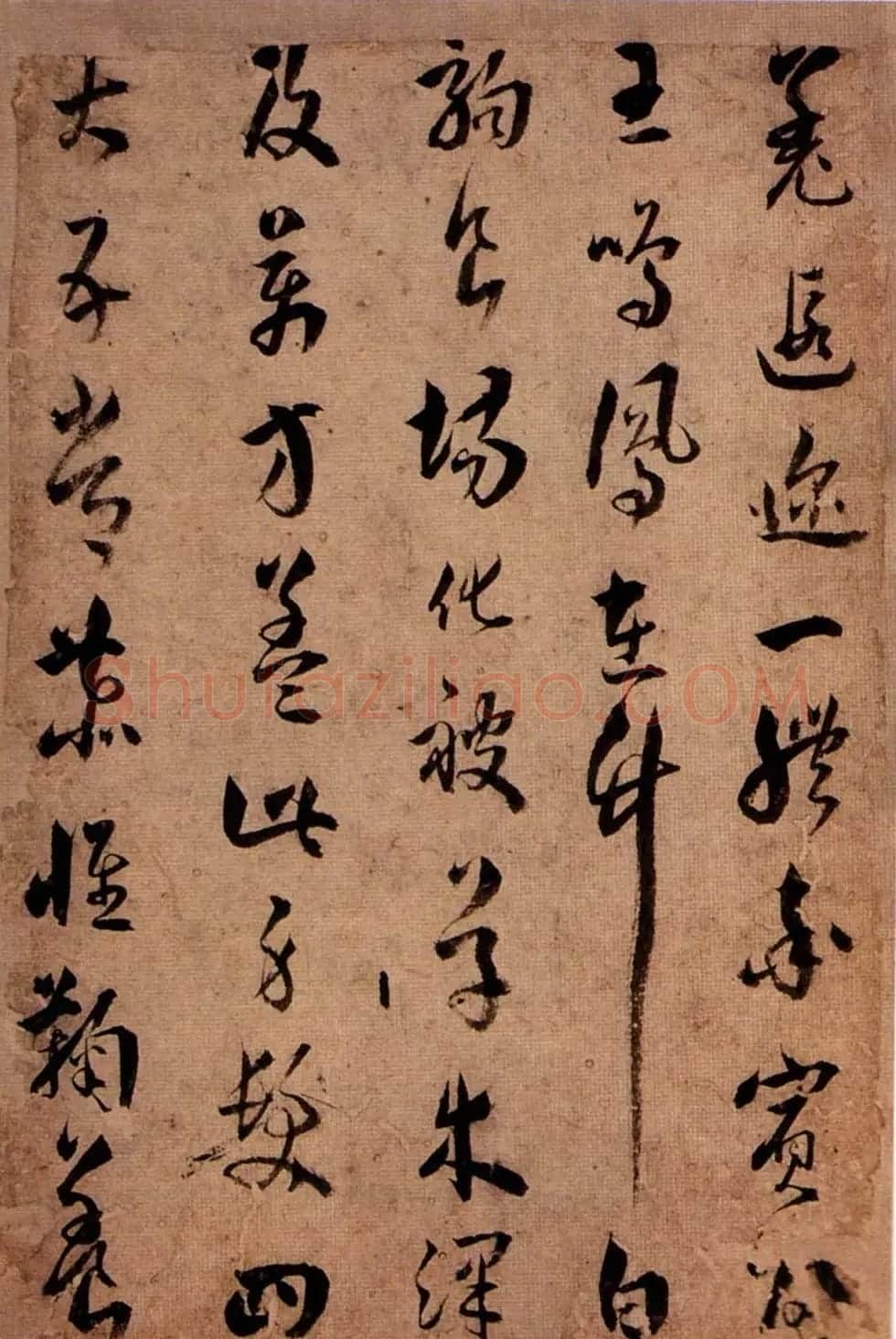 王应华草书欣赏《千字文册》 | 毛笔草书字帖