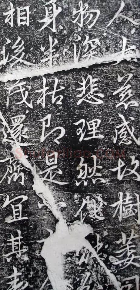 李北海李邕行书欣赏《娑罗树碑记》 | 书法碑帖