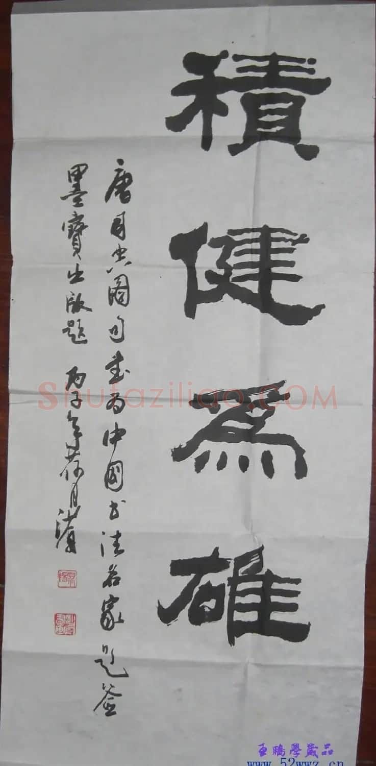 沙舟书法题字：积健为雄 | 书法名家作品欣赏