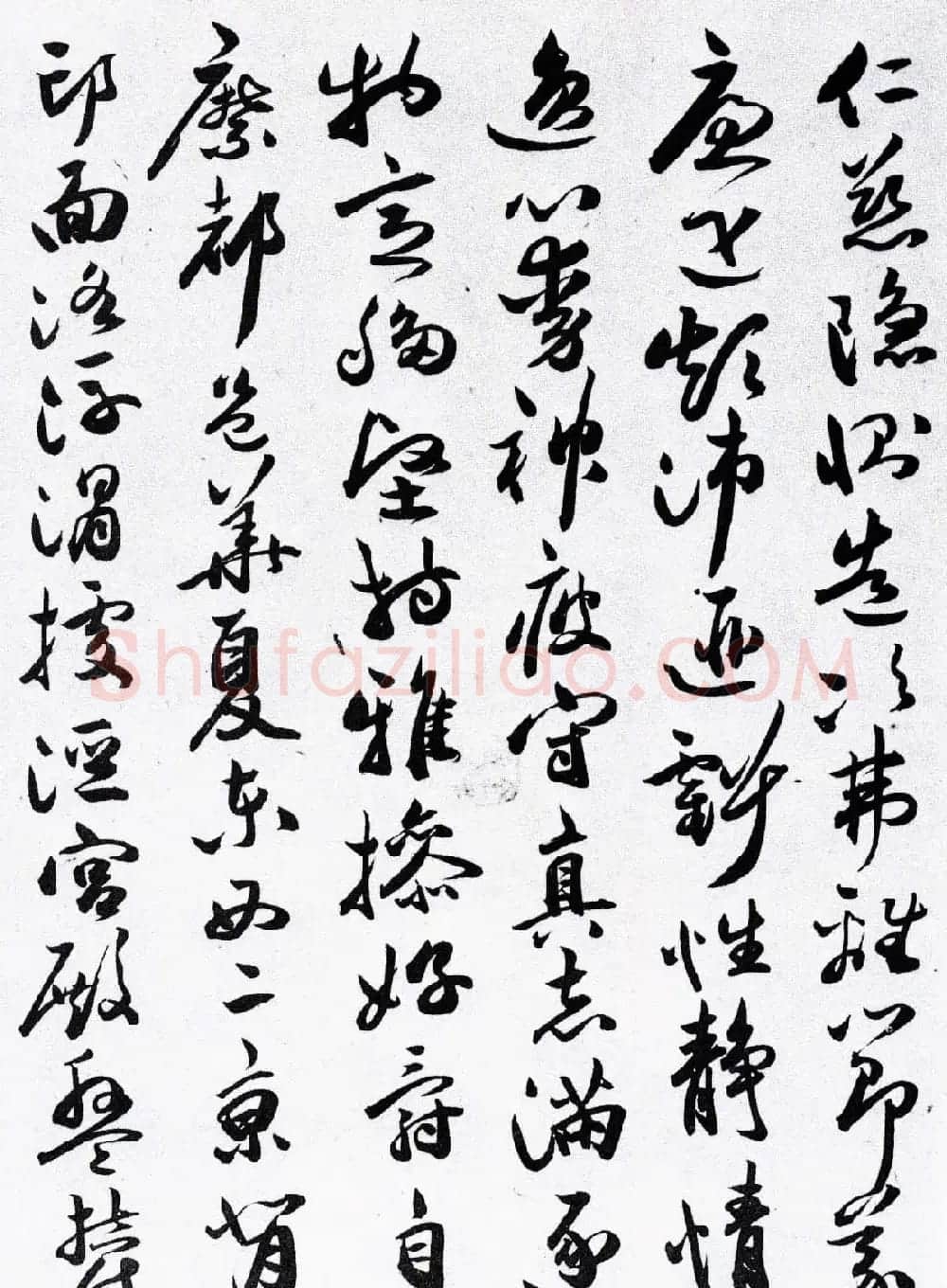 明代草书第一人祝允明《草书千字文卷》两种 | 书法长卷