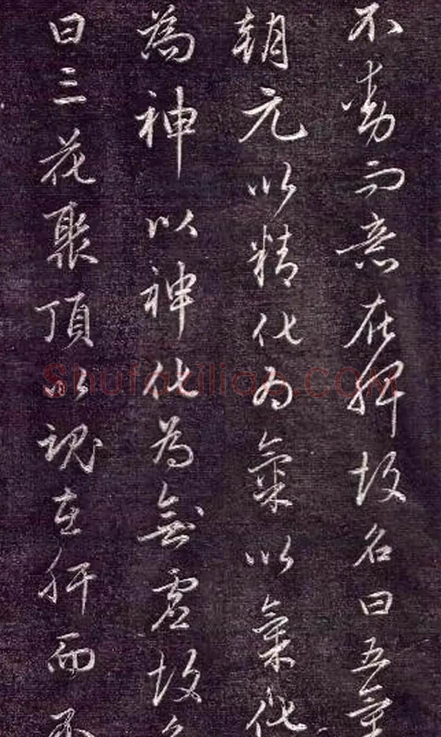 赵孟頫书法《金丹四百字》 | 书法名家作品欣赏