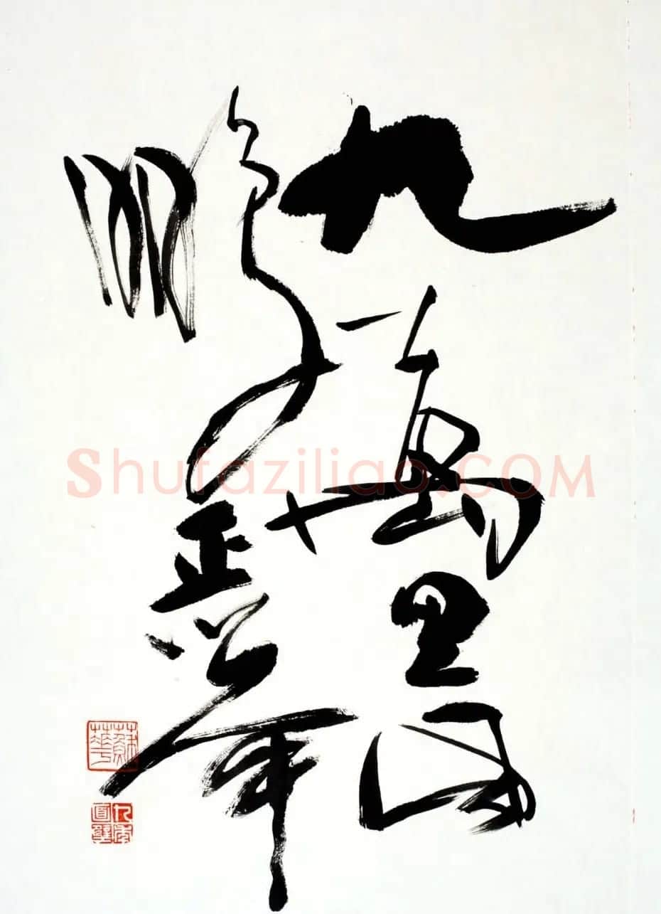 女书画家苏华行草书法作品17幅 | 书法作品鉴赏