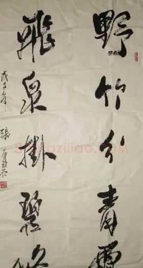 张有碧书法作品欣赏 | 毛笔书法作品