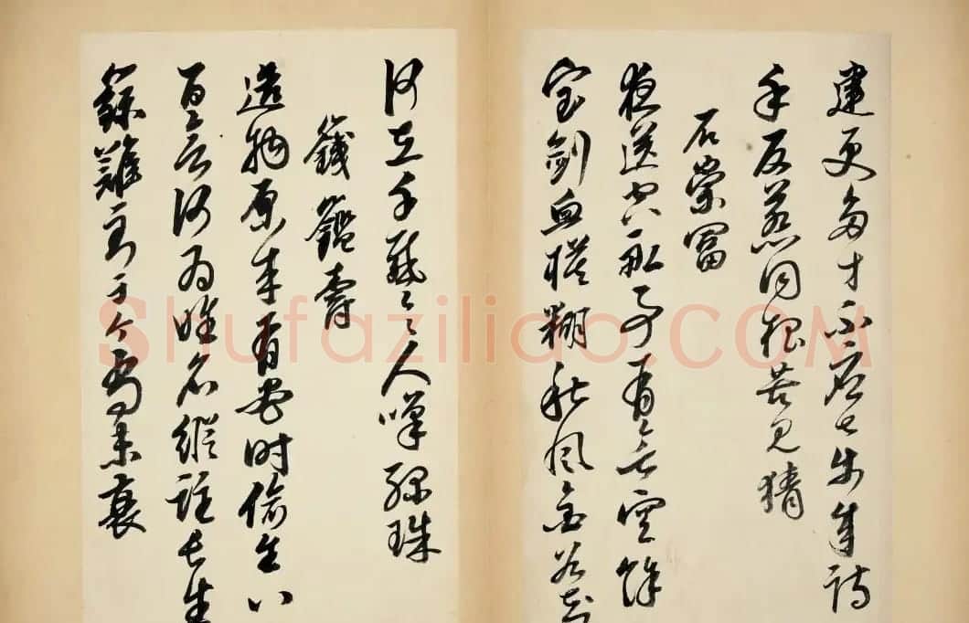 明代女书画家邢慈静草书欣赏 | 名家书法作品赏析