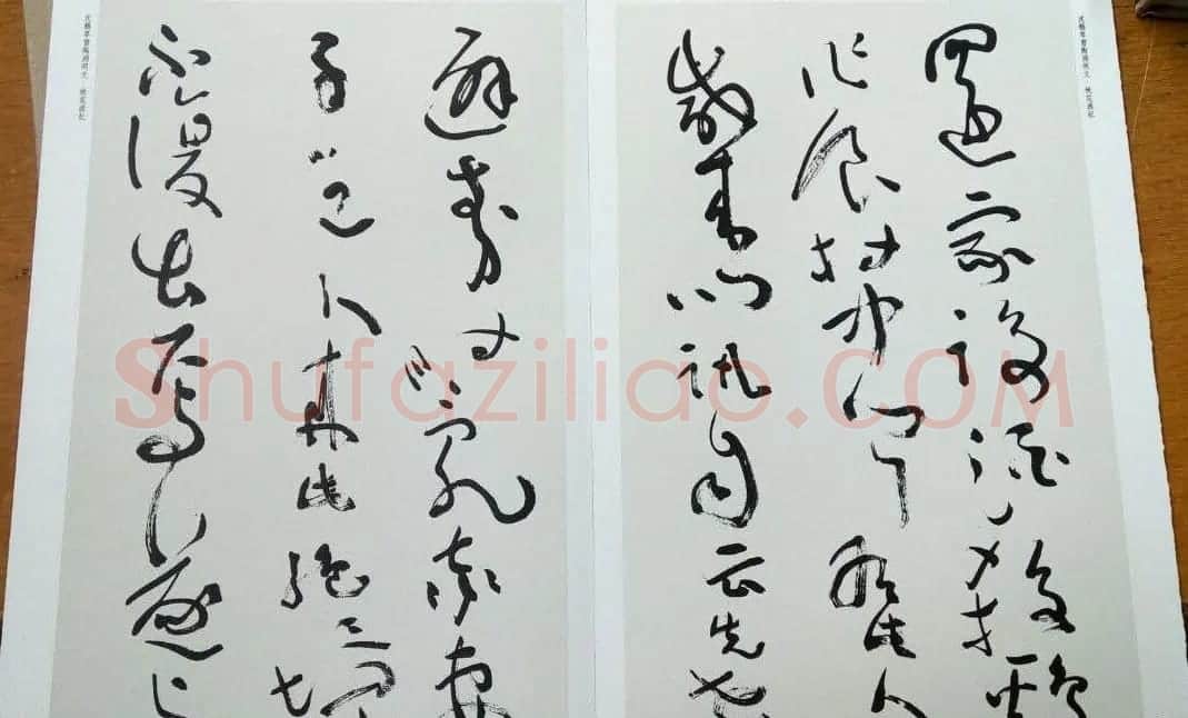 沈鹏草书欣赏《桃花源记》 | 书法作品赏析