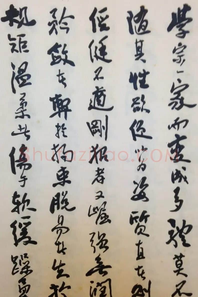 费新我书法册页欣赏《书谱》 | 书法作品欣赏