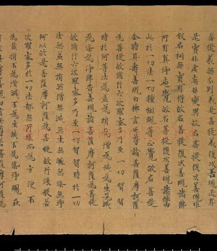大般若波罗蜜多经卷第四百六十四 俄罗斯藏本 | 敦煌写经欣赏