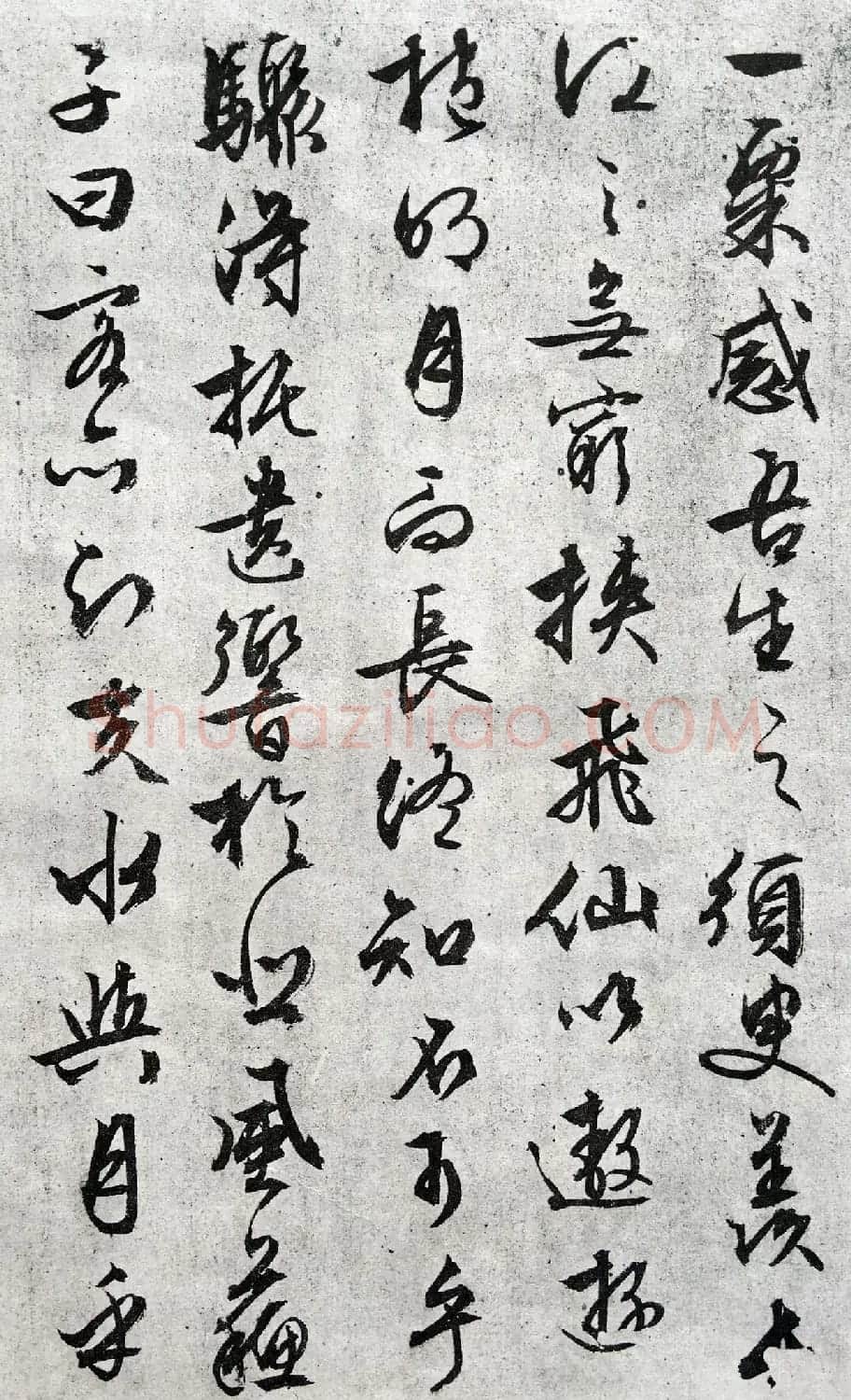 文徵明89岁行草书法欣赏《赤壁赋》 | 软笔草书字帖