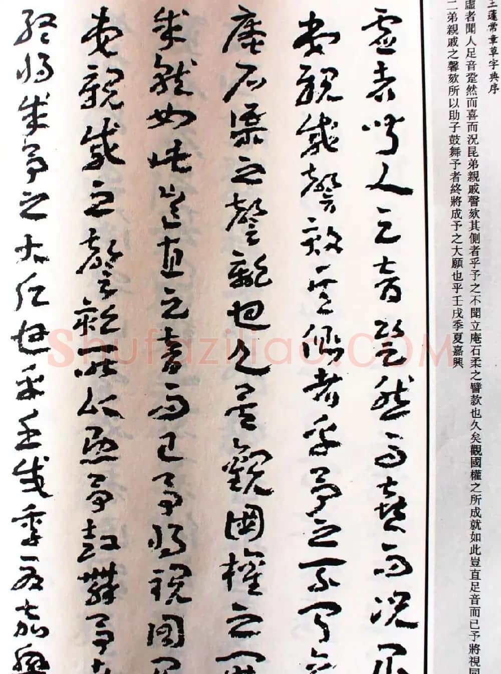 王蘧常草书欣赏《章草字典序》 | 软笔书法作品