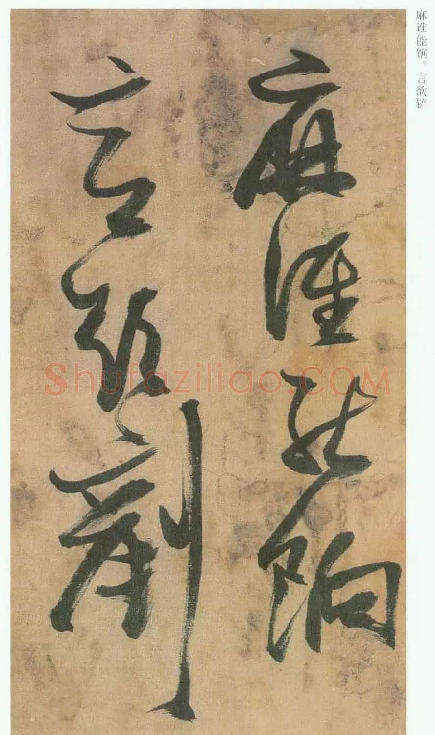 张瑞图草书欣赏《桃源洞口诗册》 | 书法名家作品欣赏