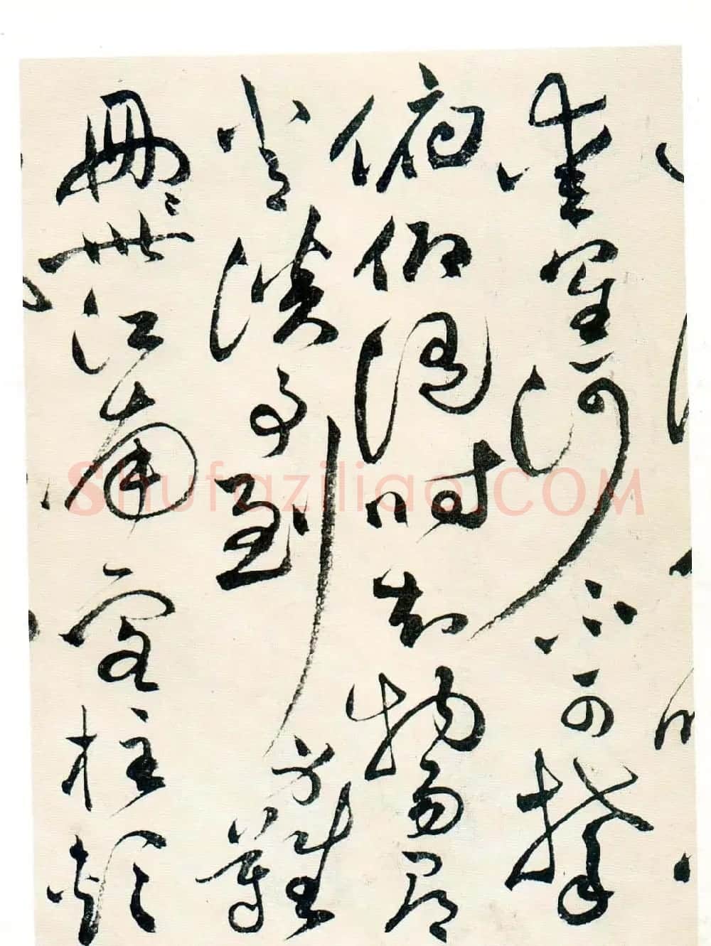 祝允明草书墨迹欣赏《自书诗卷》 | 名家书法作品赏析