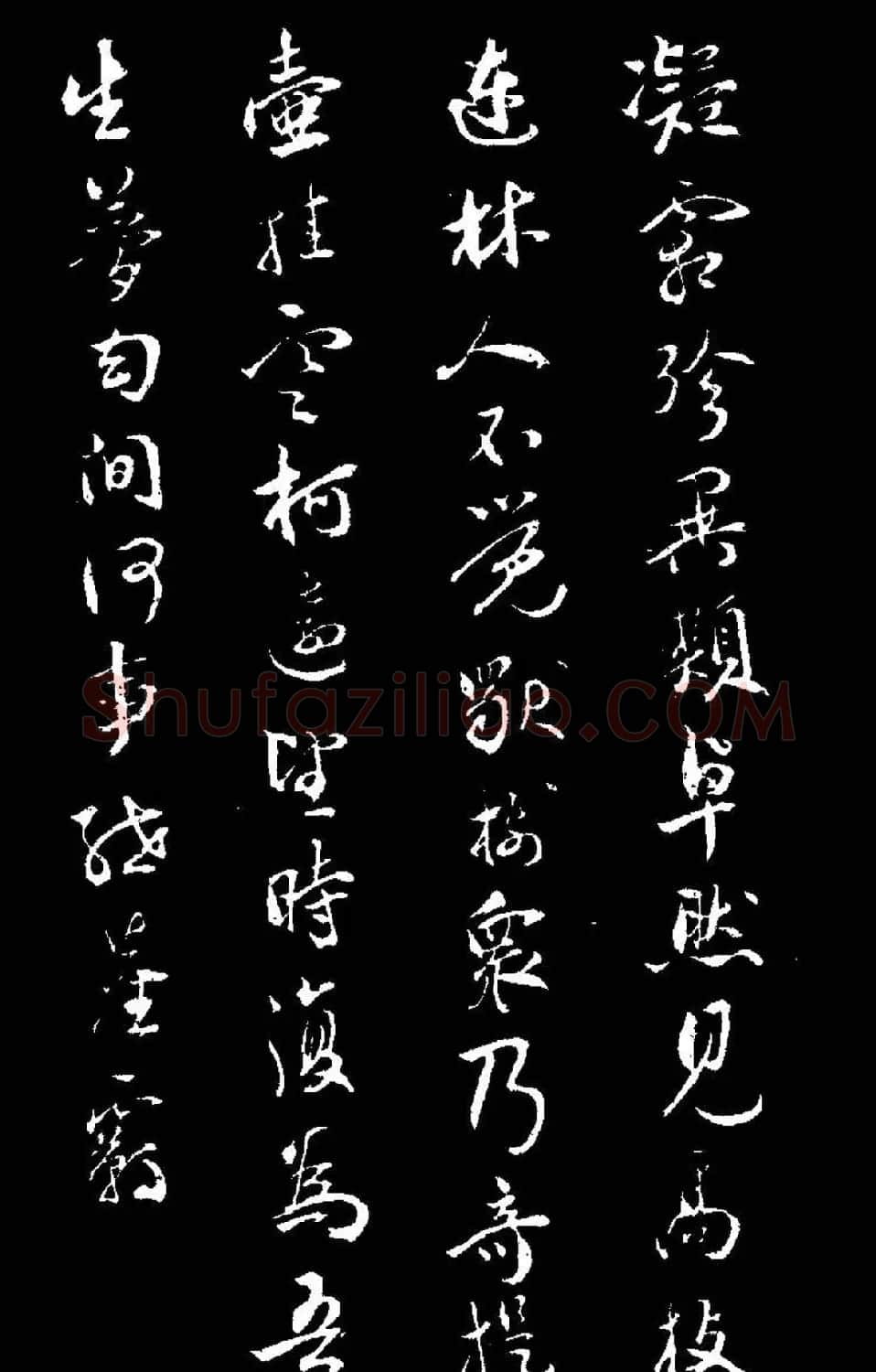 祝允明行草书法《靖节先生饮酒诗》 | 毛笔草书字帖