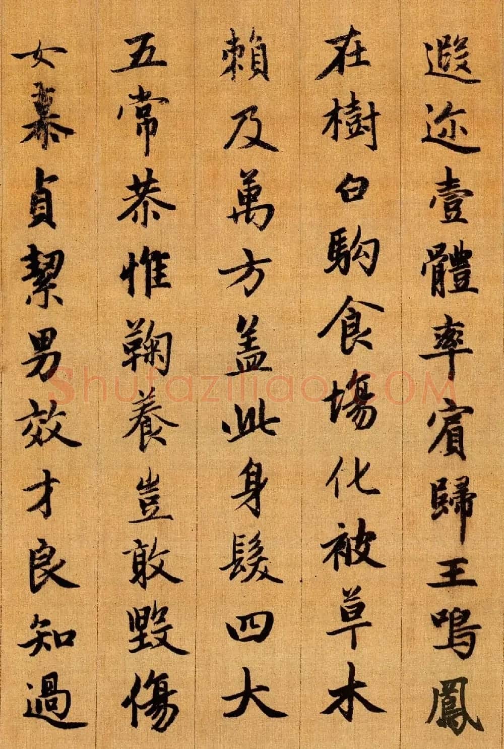 赵孟頫行书欣赏《千字文》 | 毛笔行书字帖