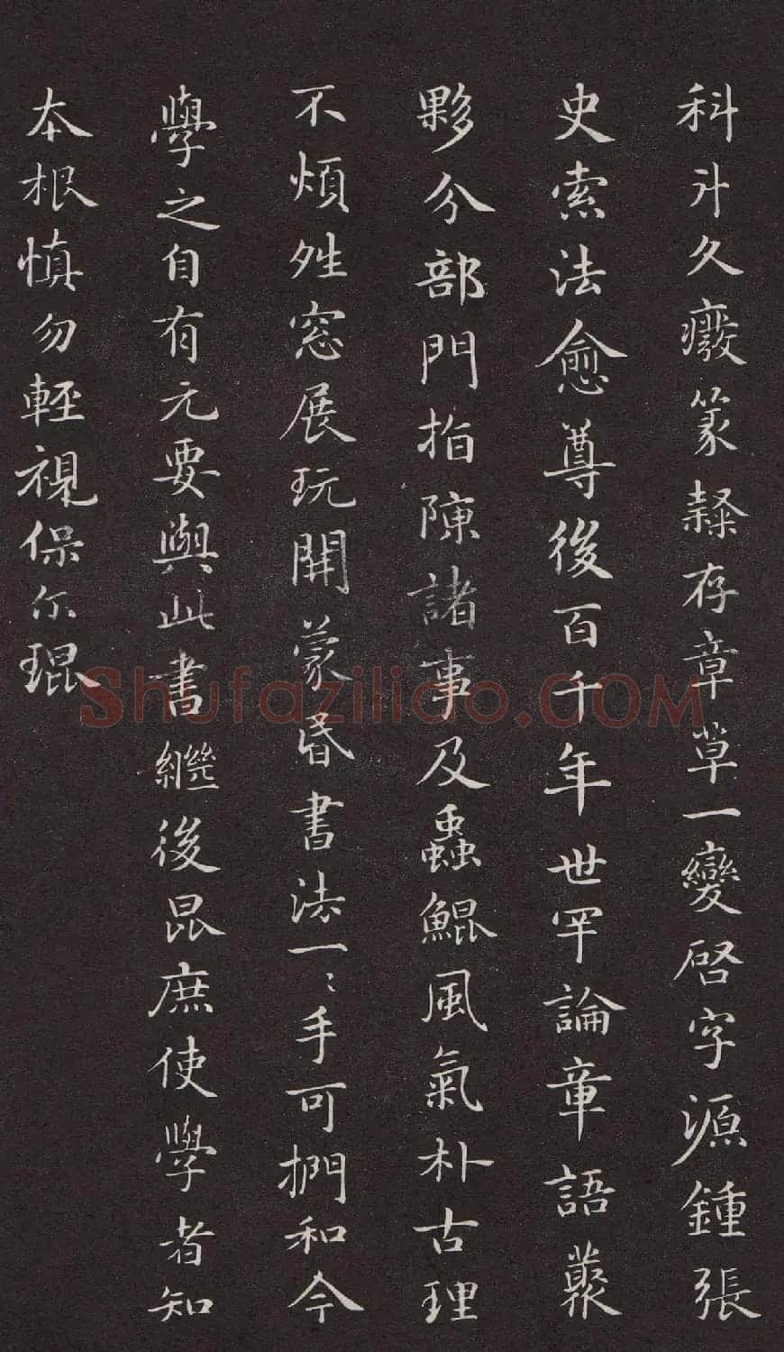 鲜于枢书法《跋赵孟頫书急就章》 | 软笔书法作品