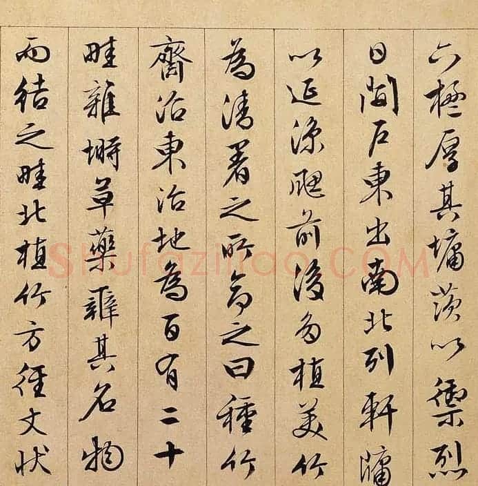 文徵明89岁行书长卷《独乐园图并书记》 | 书法长卷