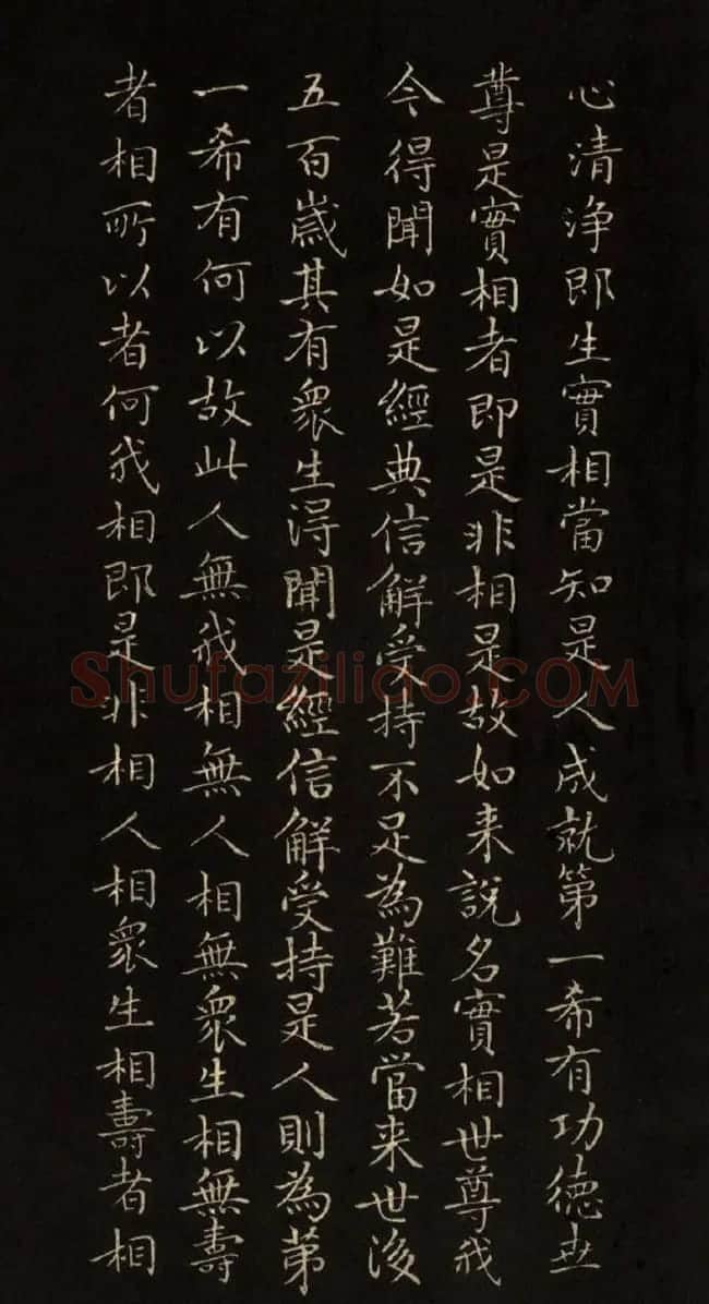 赵文敏法书《赵孟頫金刚经》 | 书法名家作品鉴赏