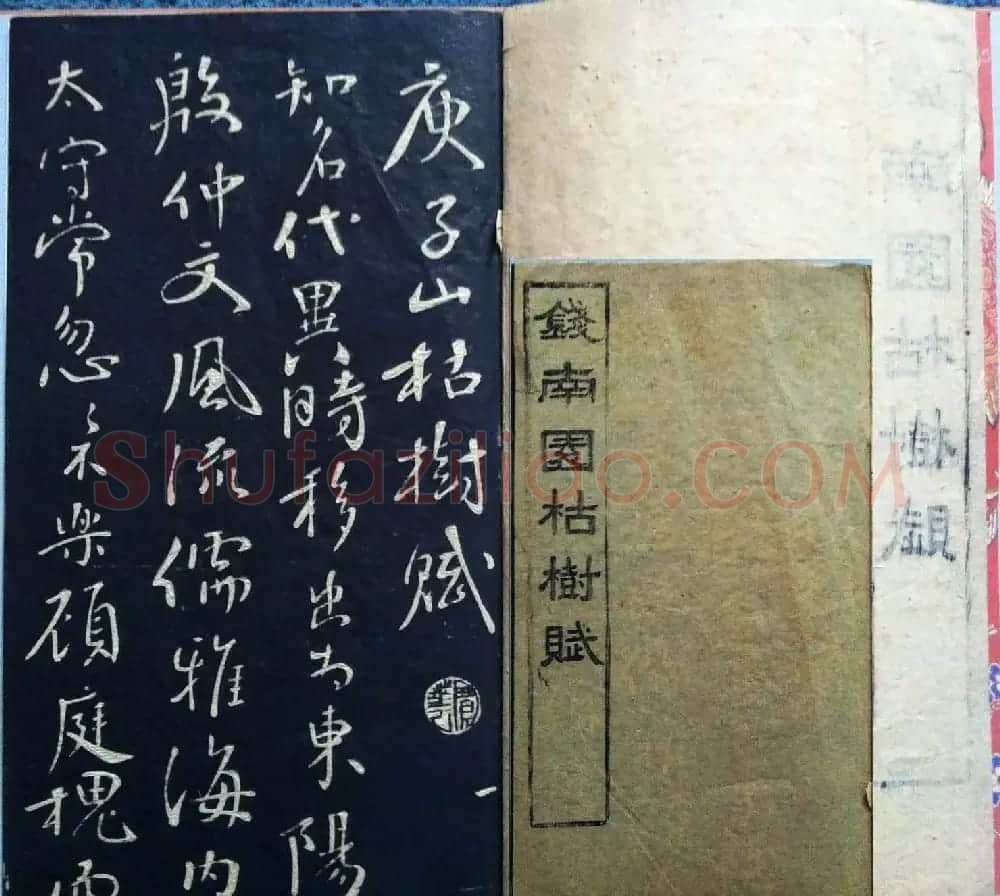兰新家传书法碑帖分享《钱南园枯树赋》 | 毛笔书法作品
