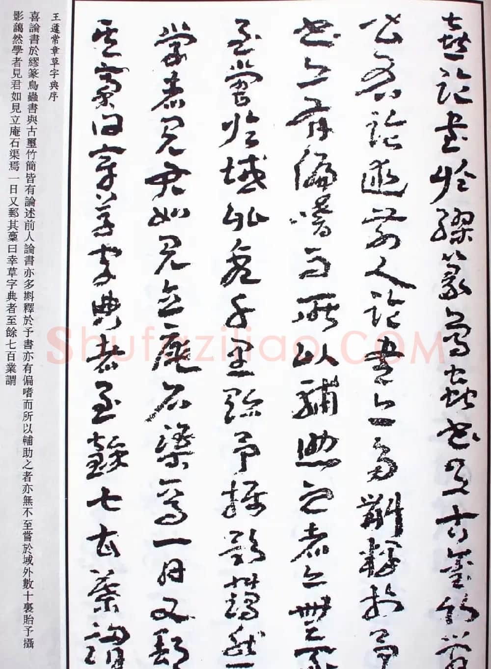 王蘧常草书欣赏《章草字典序》 | 软笔书法作品