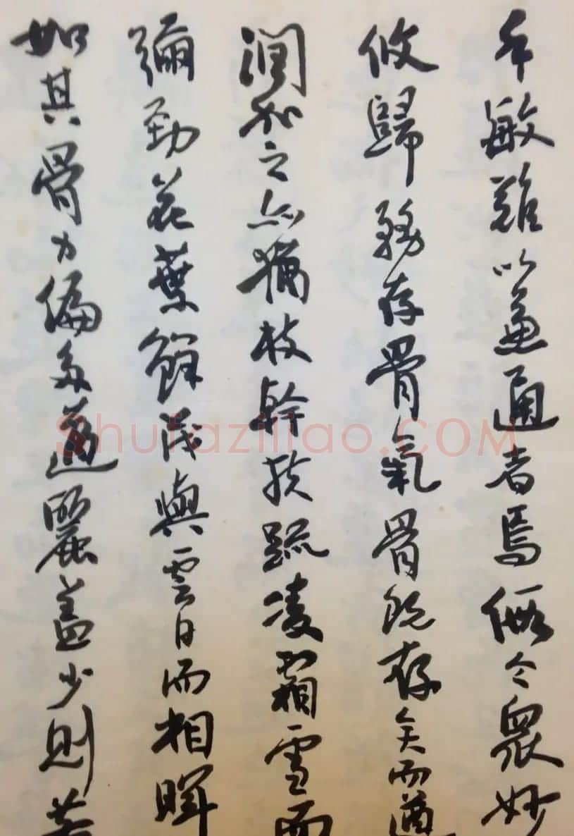 费新我书法册页欣赏《书谱》 | 书法作品欣赏