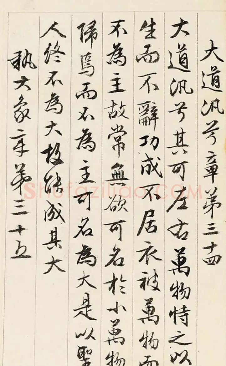 文徵明89岁行书《道德经》册页 | 毛笔书法作品