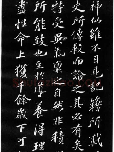 苏轼小楷欣赏《养生论》拓本 | 软笔书法作品