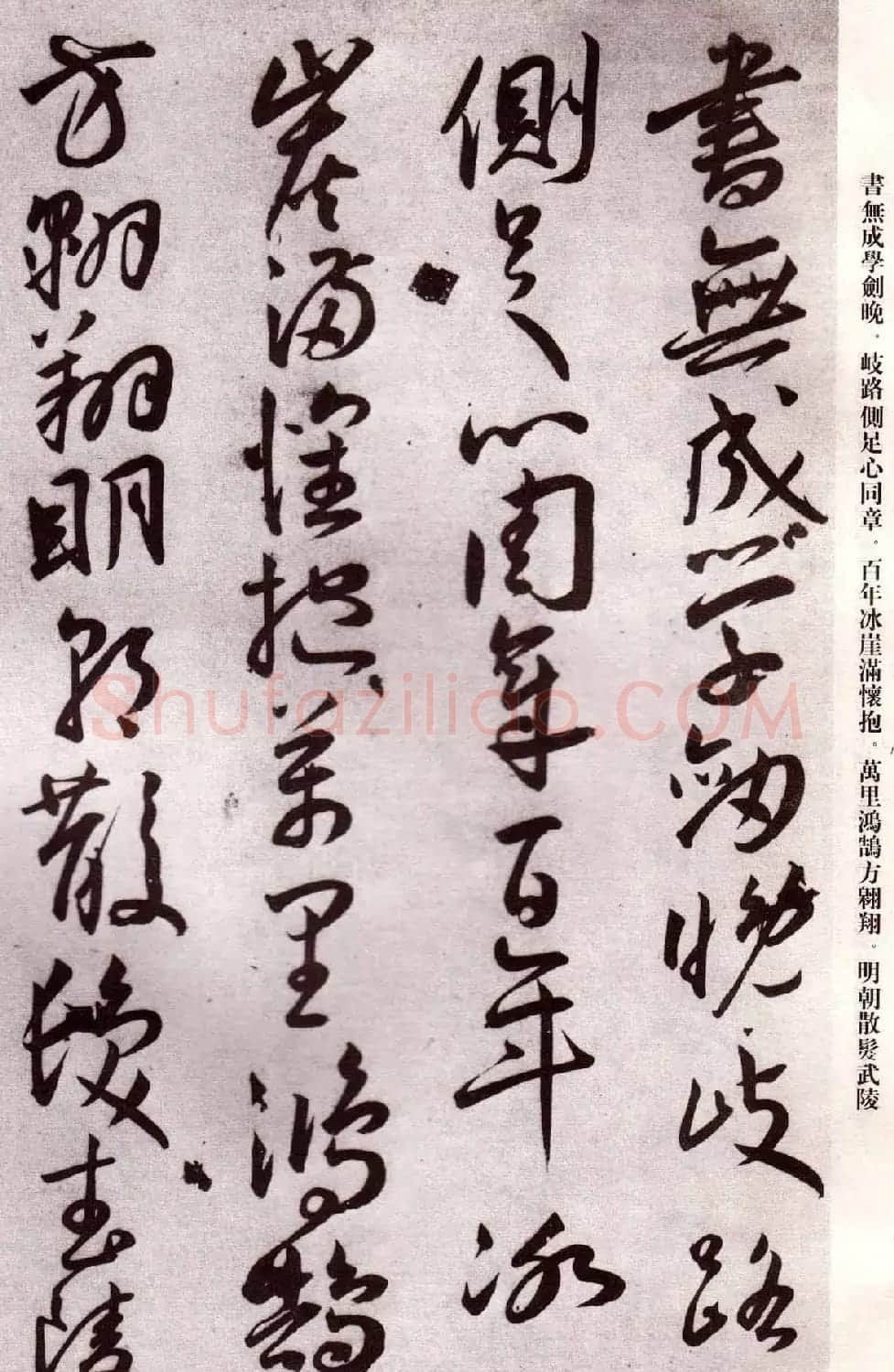 明代书法家王宠行草自书杂诗 | 名家书法作品精选