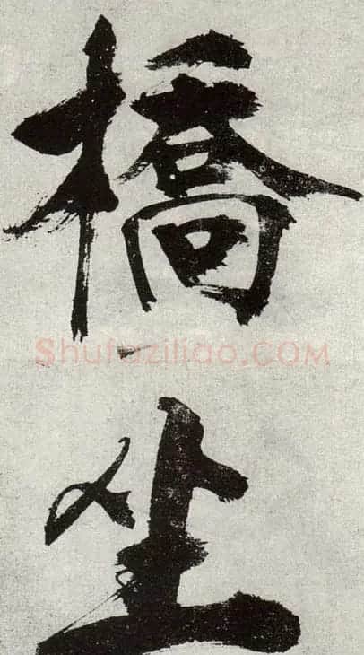 张即之书法《敛襟谈老氏诗楷书册》 | 软笔楷书字帖