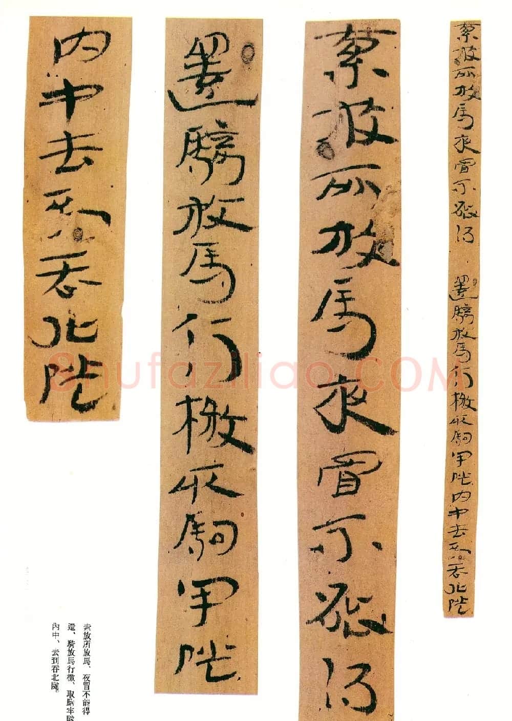 东汉章草隶体木简《误死马驹册》 | 书法作品欣赏