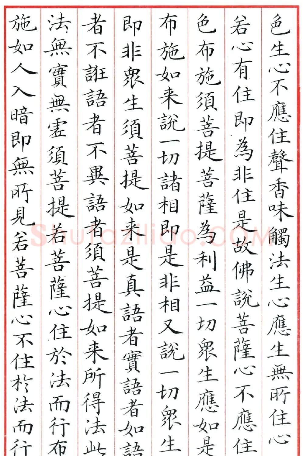 梁林小楷书法《金刚经三十二品》 | 书法作品鉴赏