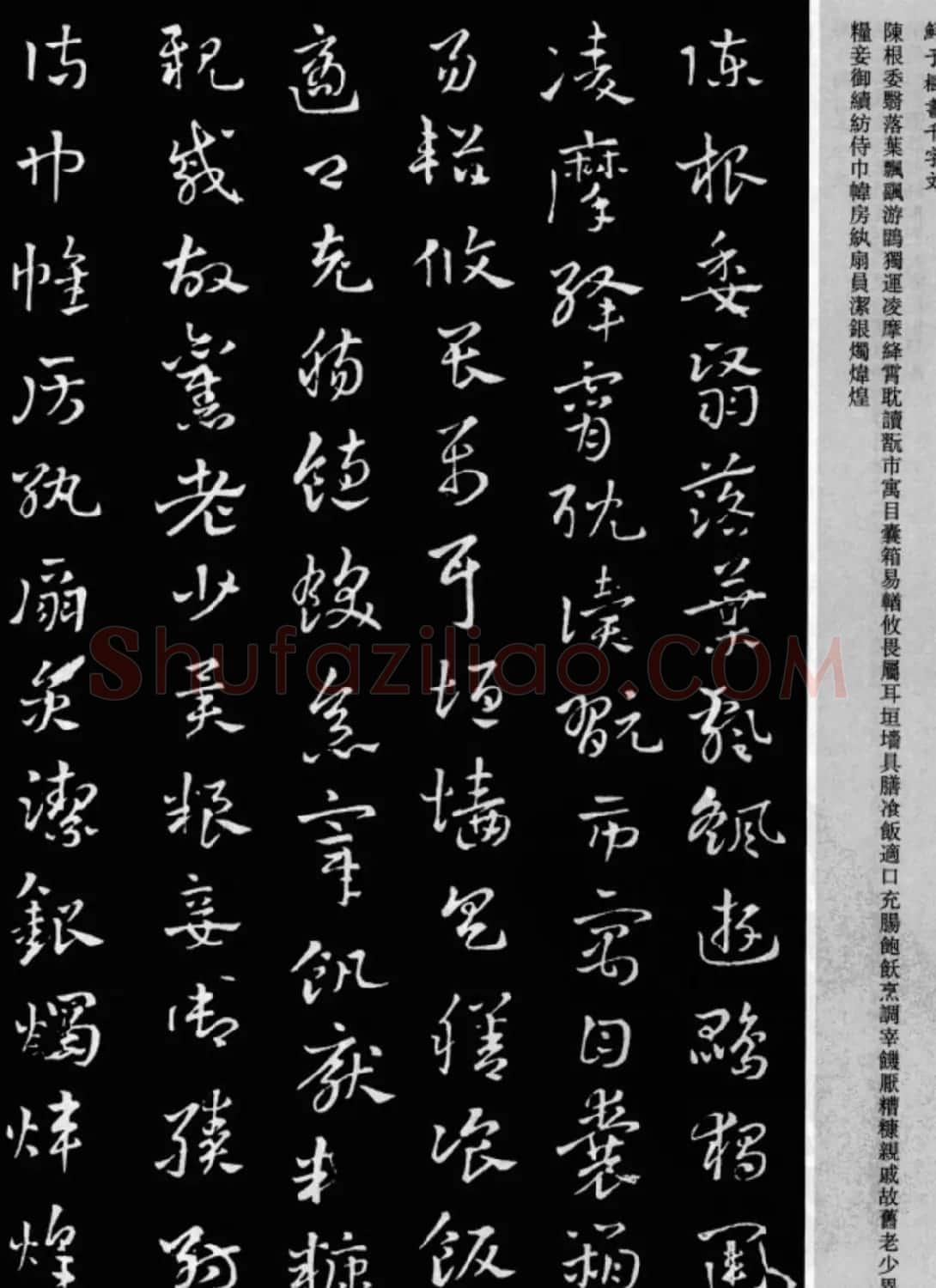 鲜于枢章草书法欣赏《千字文》大图 | 软笔草书字帖