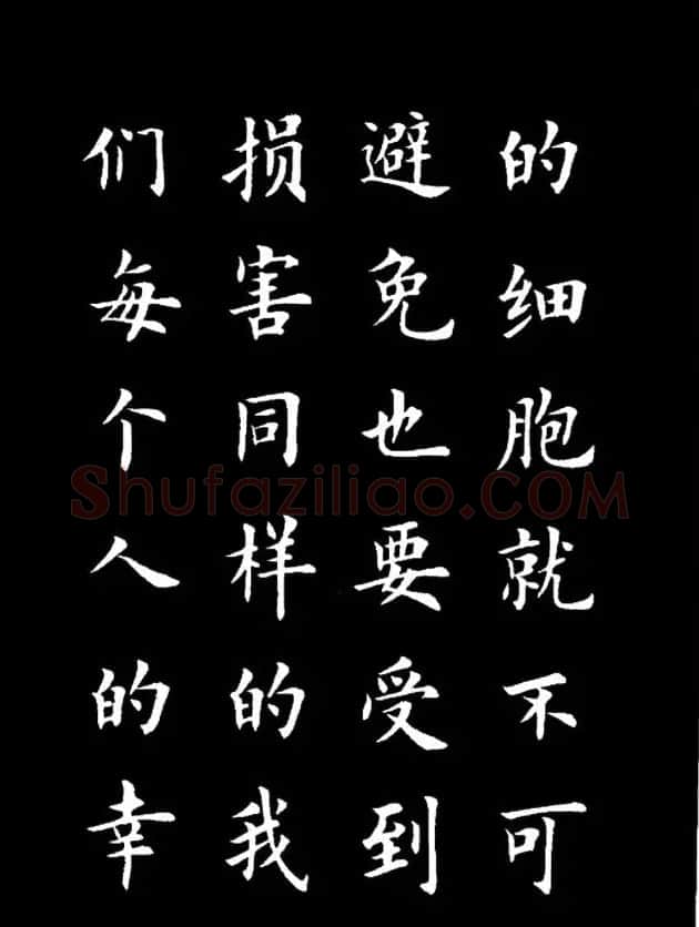 卢中南楷书《欧体简化字雷锋名言字帖》 | 毛笔楷书字帖