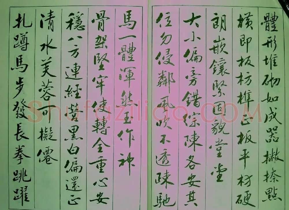 青少年行书范本《廖蕴玉著并书.论书七绝句一百首》 | 软笔行书字帖