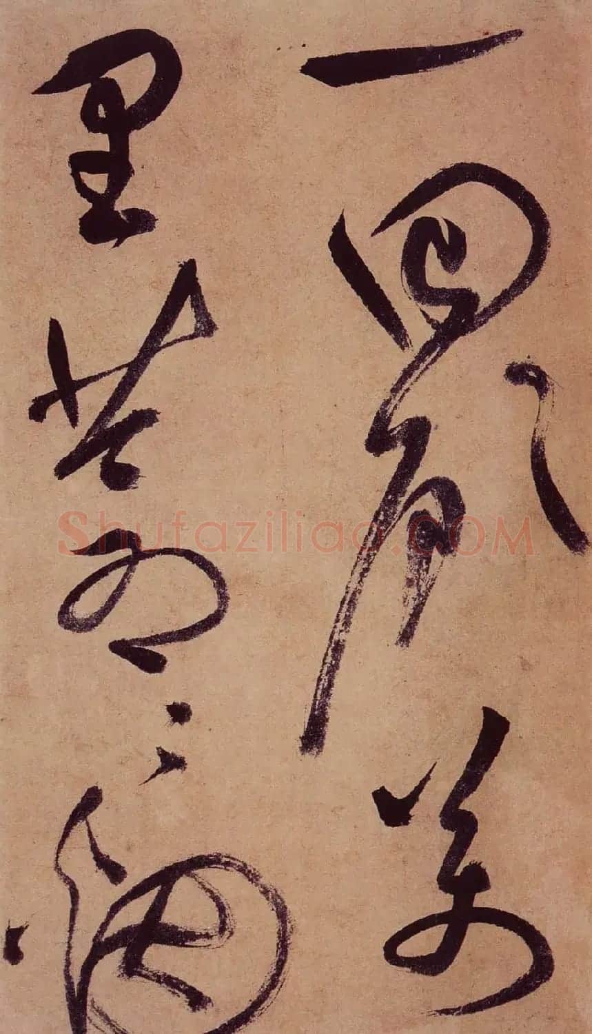 祝允明草书欣赏《桃源图诗册》 | 书法名家作品鉴赏