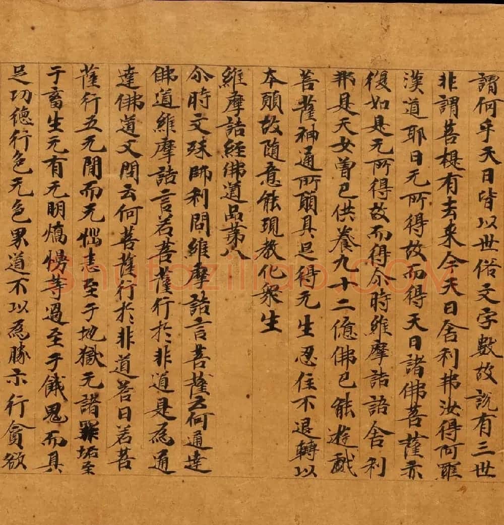 敦煌遗书精选《维摩诘所说经卷中》 | 敦煌写经鉴赏
