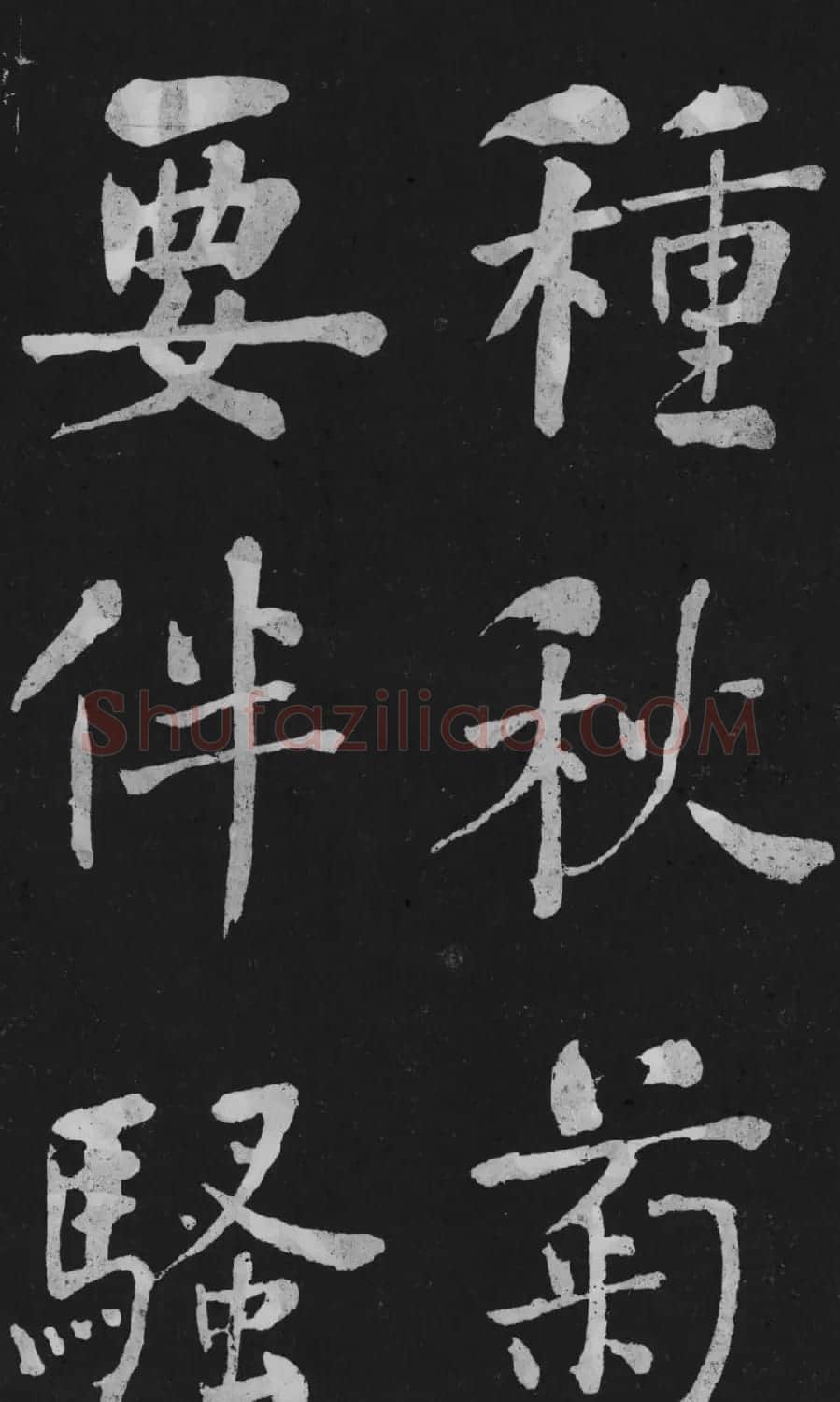 清代书法家何绍基楷书欣赏《东坡诗册》 | 名家书法作品精选