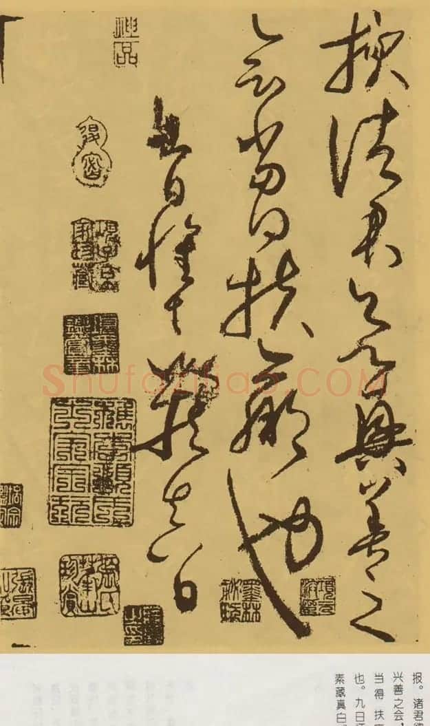 怀素传世书法赏析《食鱼贴》 | 书法碑帖