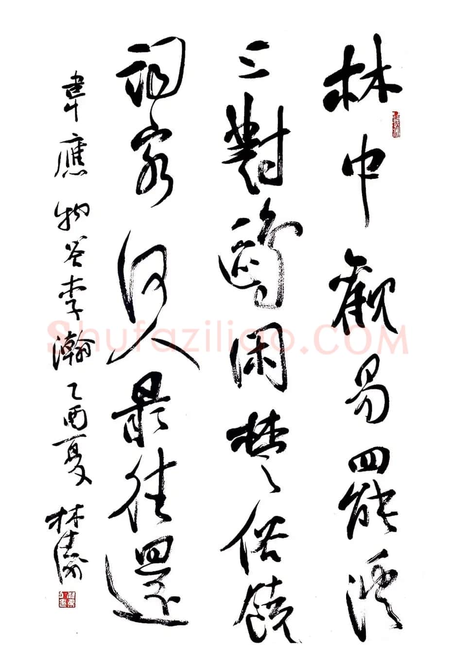 甘肃书协秘书长林涛行草书欣赏 | 书法作品欣赏
