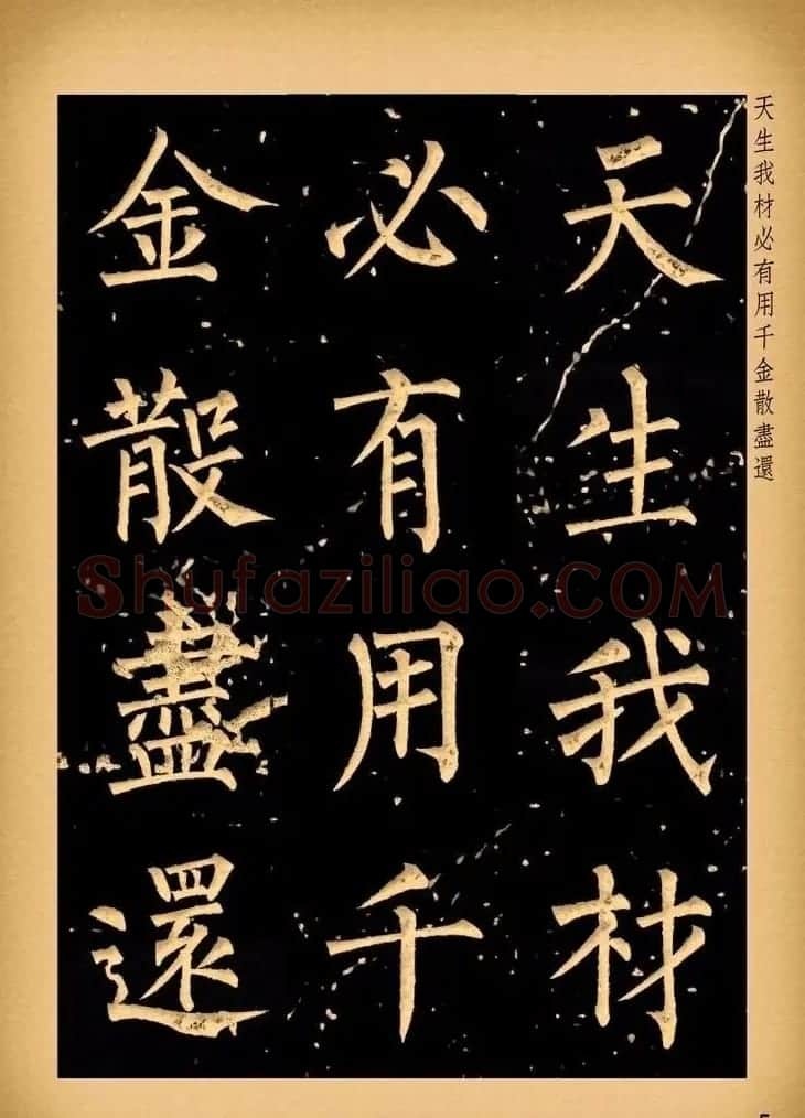苏新诗柳体仿碑帖《李白将进酒》 | 书法作品赏析